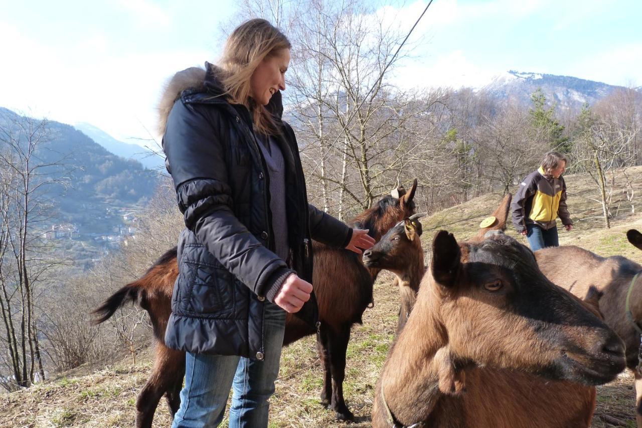 Pieve di Bono Agriturismo La Meta المظهر الخارجي الصورة